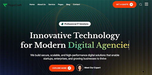 IT Consulting demo