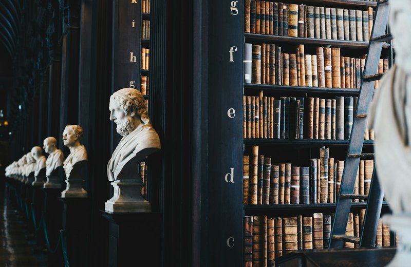 Shareholder papers in the Lawsera library